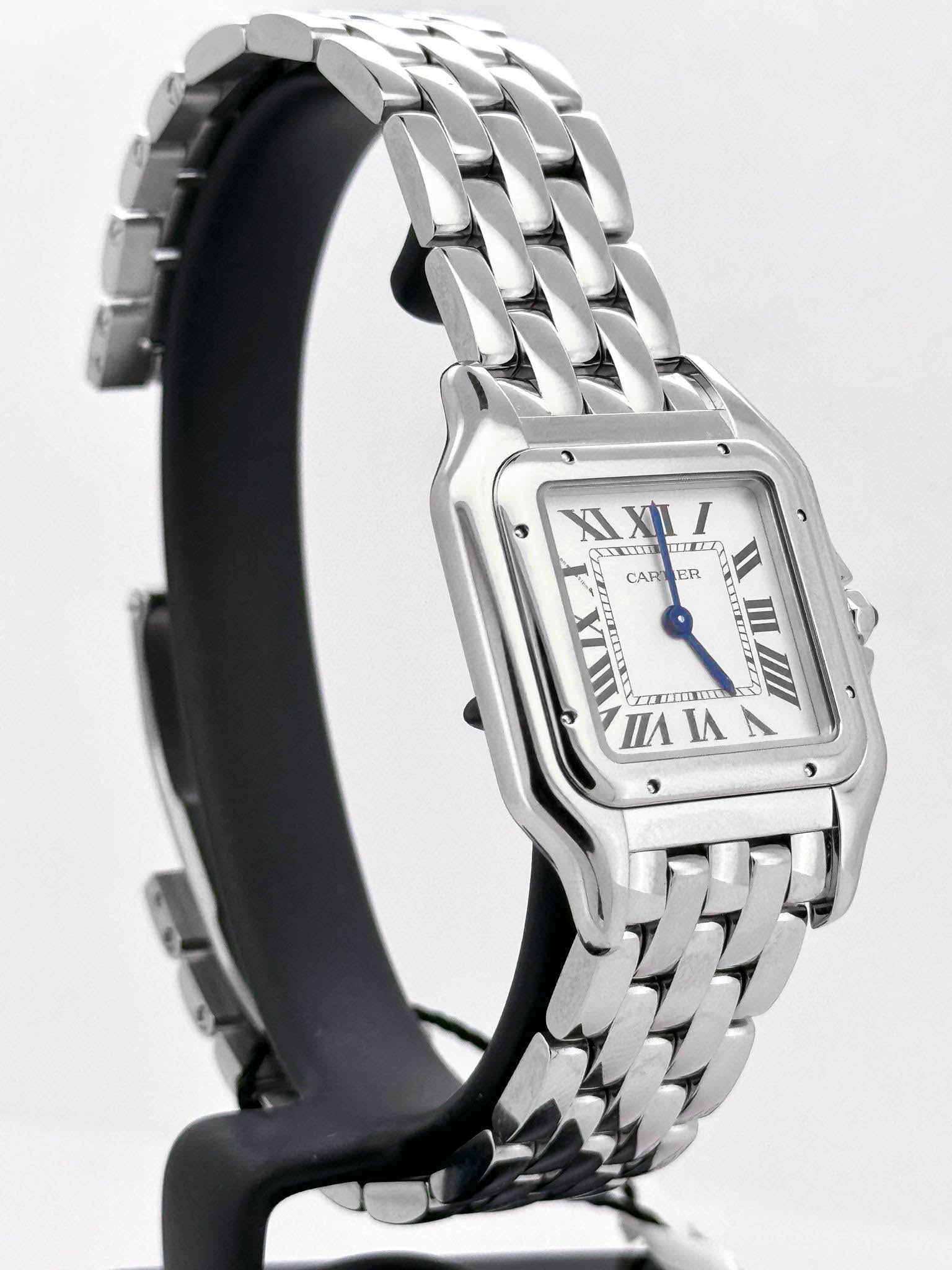 PANTHÈRE STEEL M SILVER DIAL (2025)