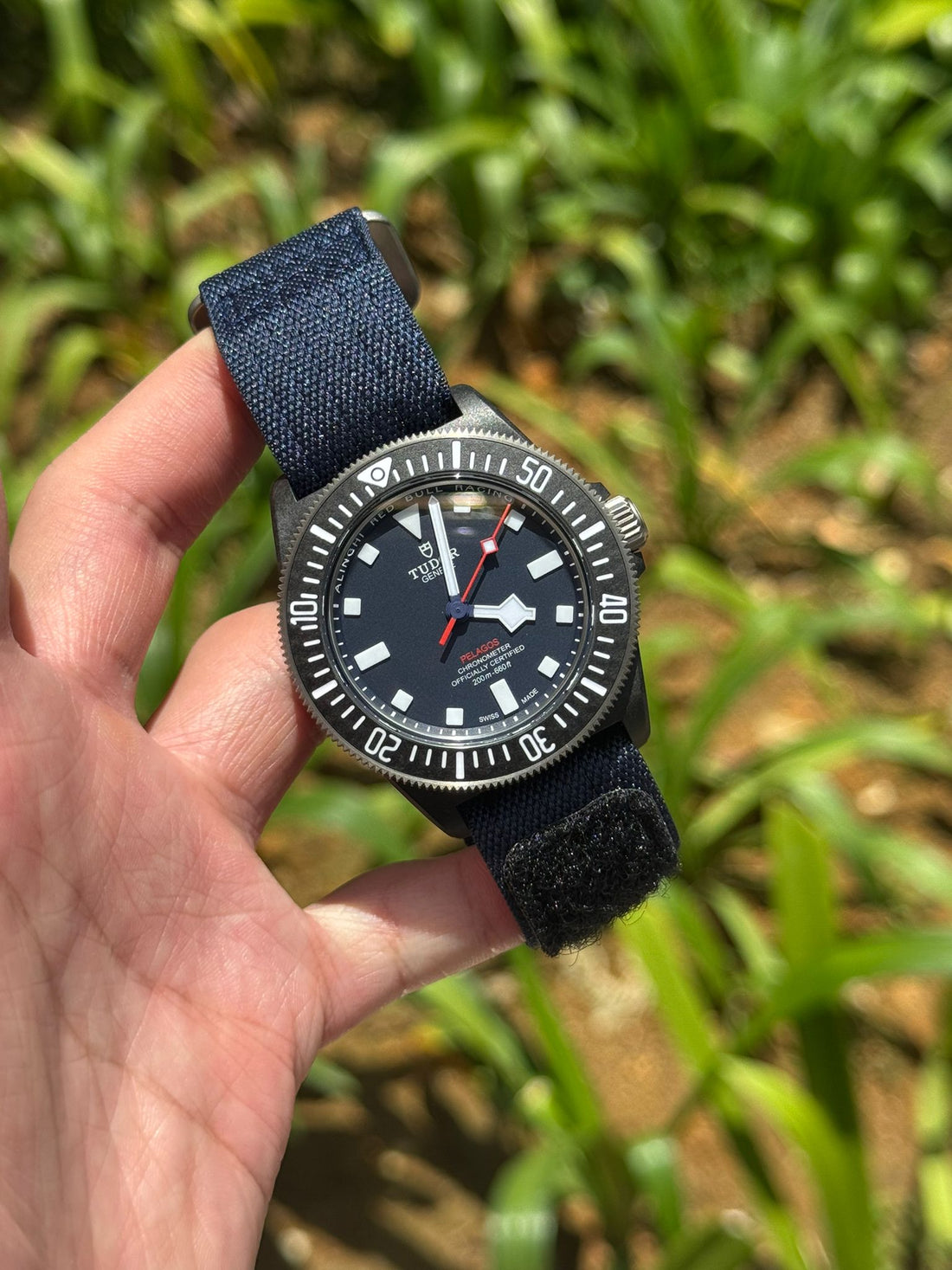 PELAGOS FXD BLACK CARBON &