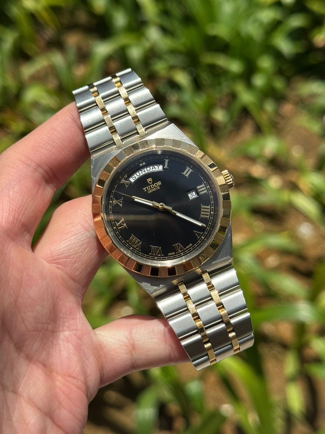 ROYAL 41MM DAY DATE TWOTONE YELLOWGOLD BLACK ROMAN DIAL (2025)